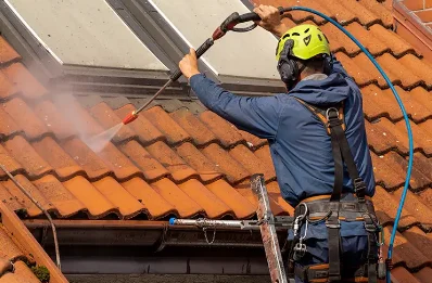 Démoussage et hydrofuge de toiture à Guillaumes